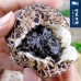 【阿家海鮮】仿真香菇(芝麻)流沙包)(450g±5%/包)10顆/包